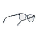 DIORIBBONO S1I-3000-53 #6
