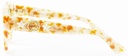 Image from '889652093031-2.JPG'