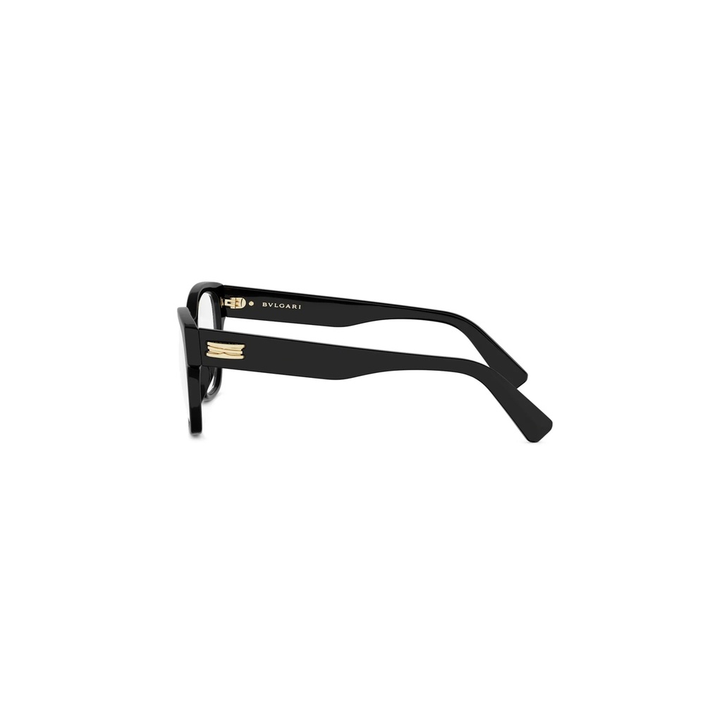 BV50077I-001-53 #3