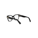 BV50077I-001-53 #4