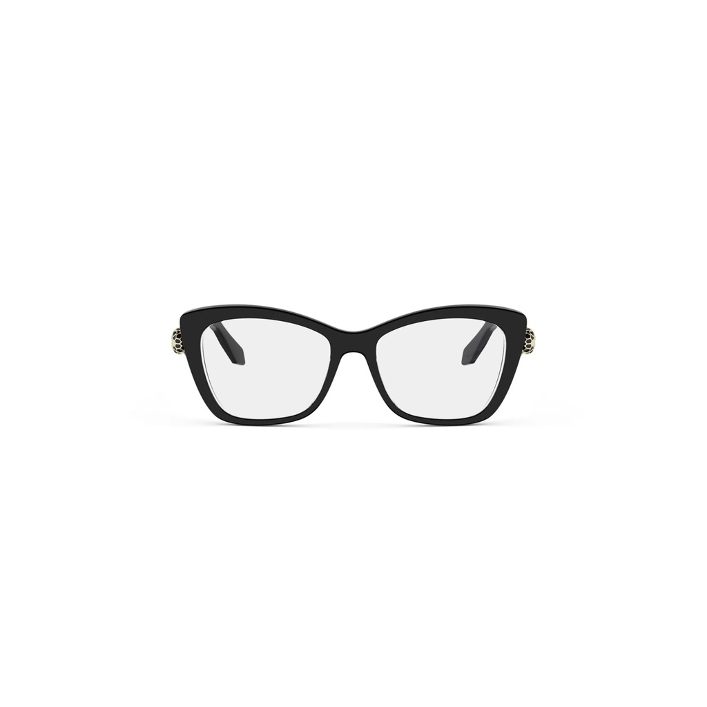BV50074I-001-53 #2