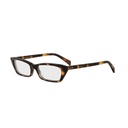 CL50182I-053-53 #1