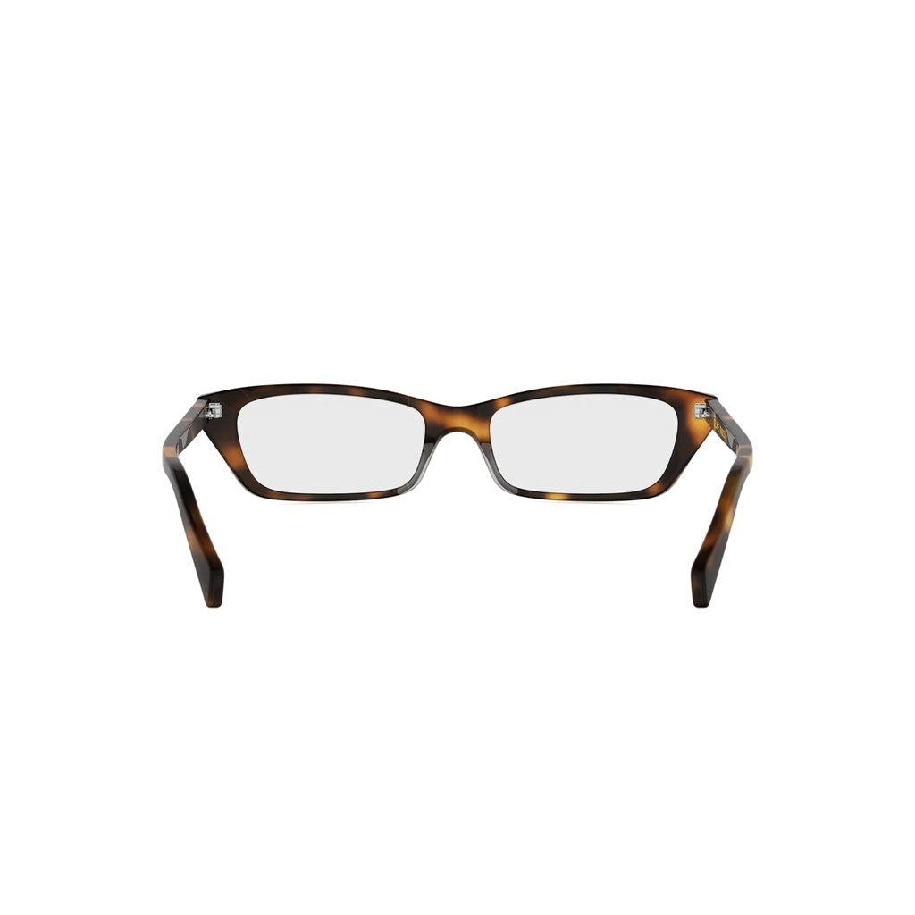 CL50182I-053-53 #5