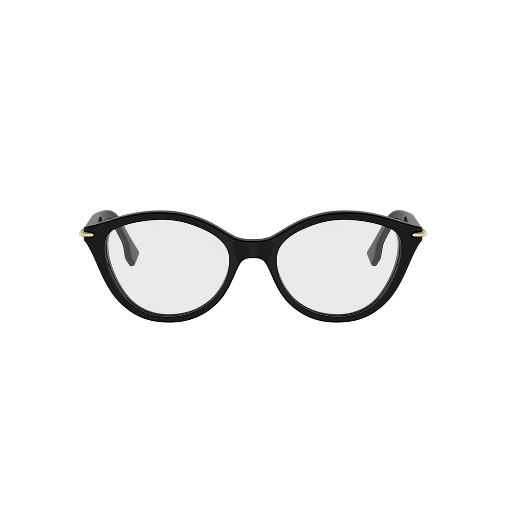 FE50154I-001-53 #2