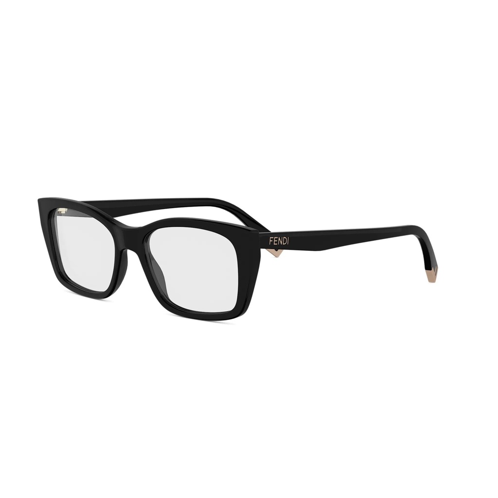 FE50155I-001-53 #1