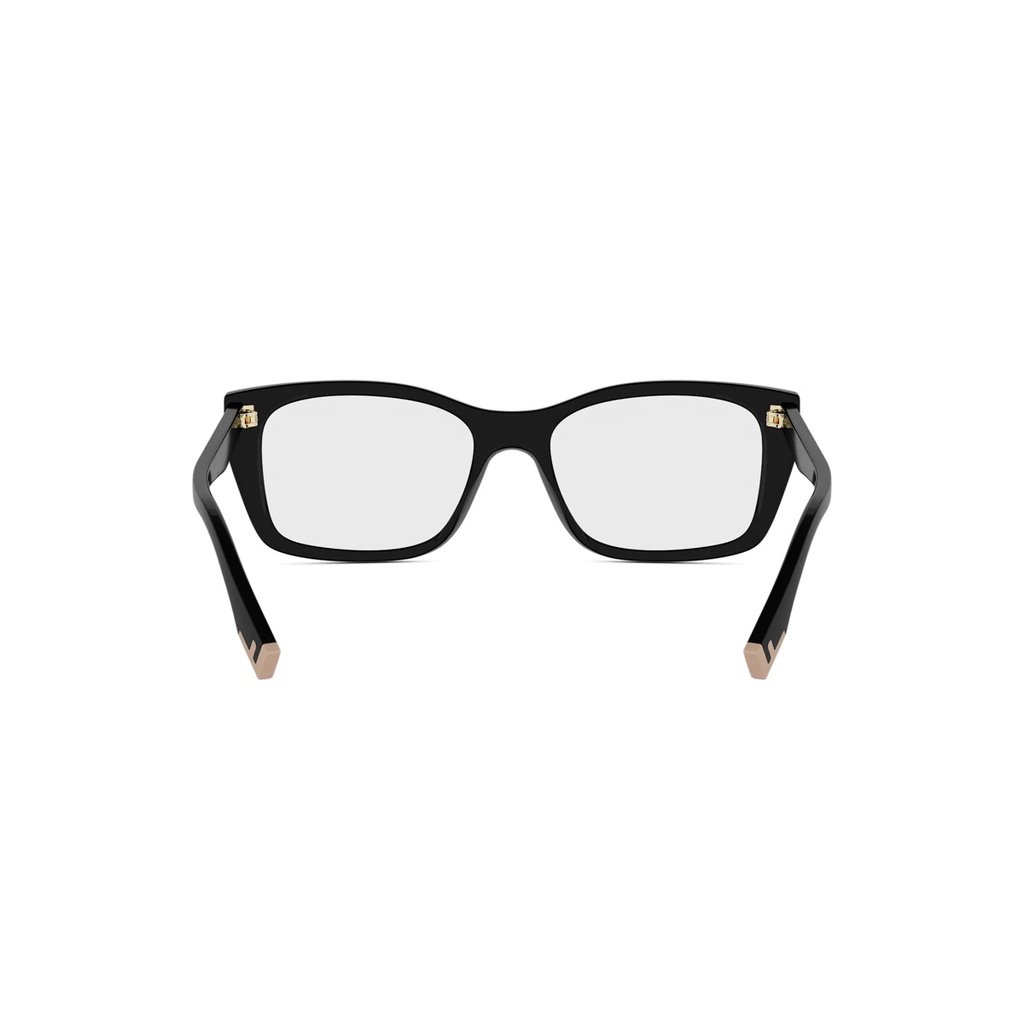 FE50155I-001-53 #5