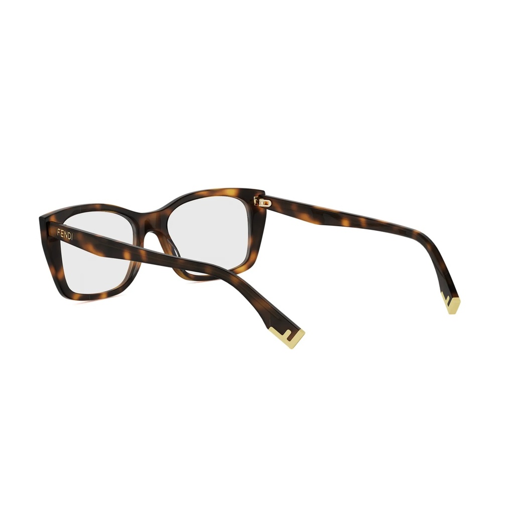 FE50155I-053-53 #4