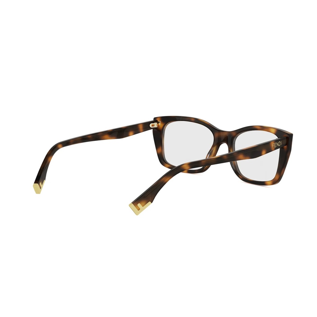 FE50155I-053-53 #6