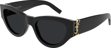 [SL M94-001-53] SL M94-001-53