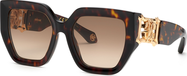 SRC089-0743-54