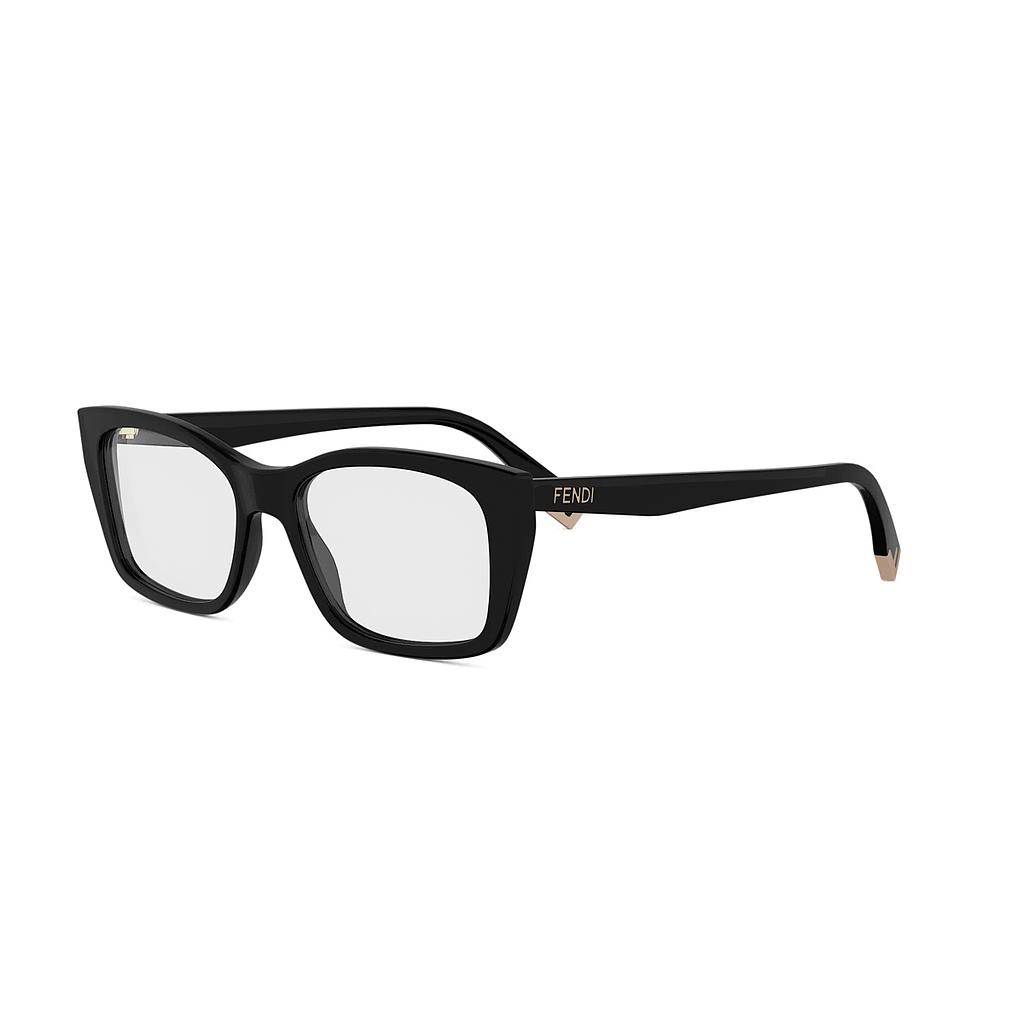 [FE50155I-001-53] FE50155I-001-53