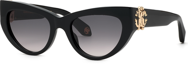 SRC017M